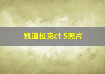 凯迪拉克ct 5照片